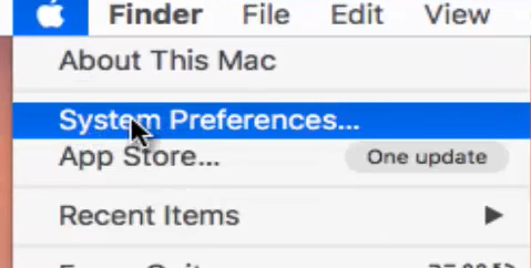 app preferences
